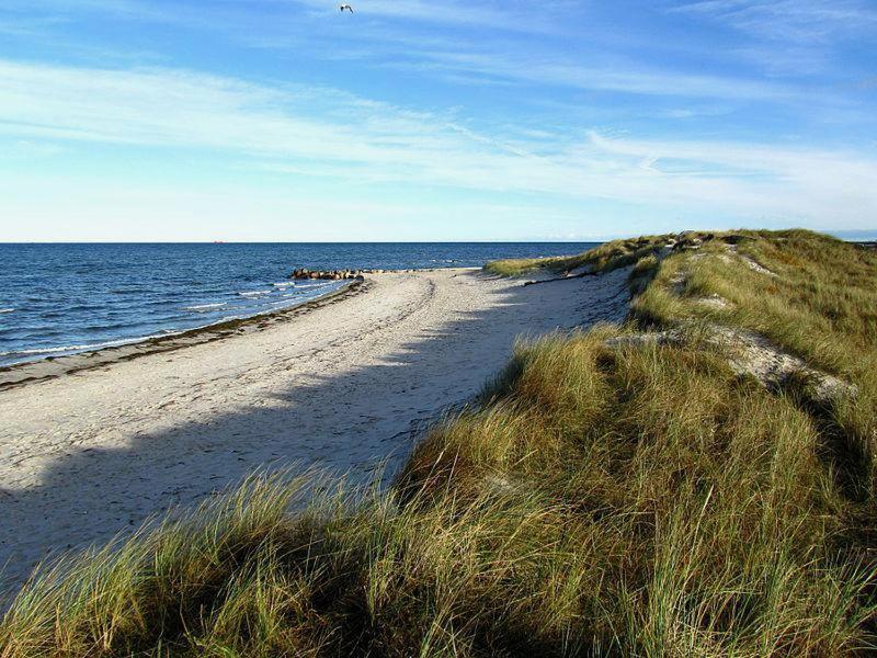 Stylische Ferienwohnung Top Lage Am Hafen, Strand Und Meer Wendtorf Buitenkant foto
